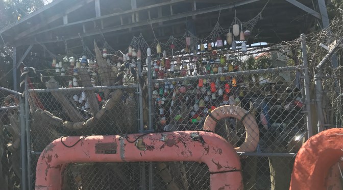 Apalachicola and St. George Island, Florida