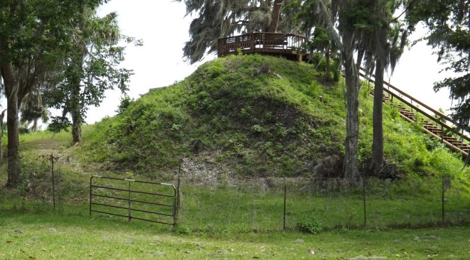Oldsmar and Safety Harbor, Florida