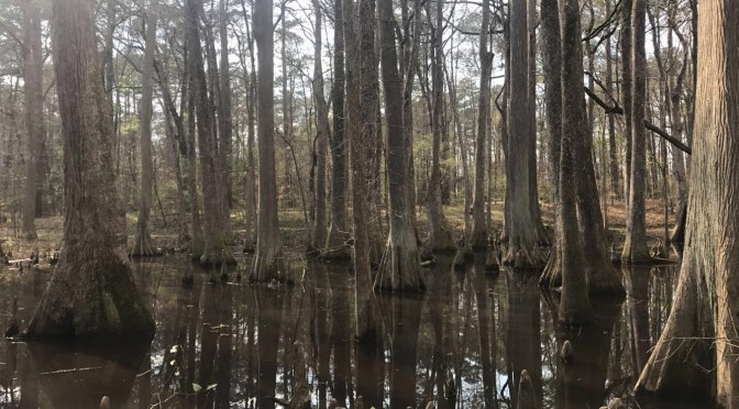 Natchez Trace Parkway: Part 1
