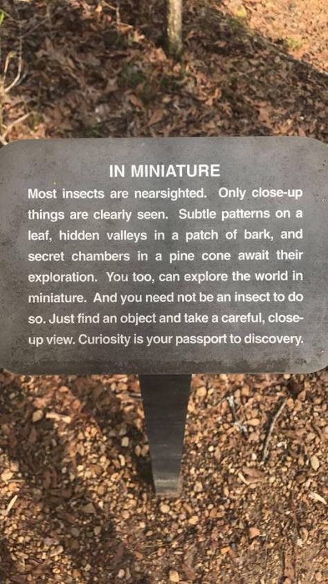 17807116_1346704265368617_1852556476_n