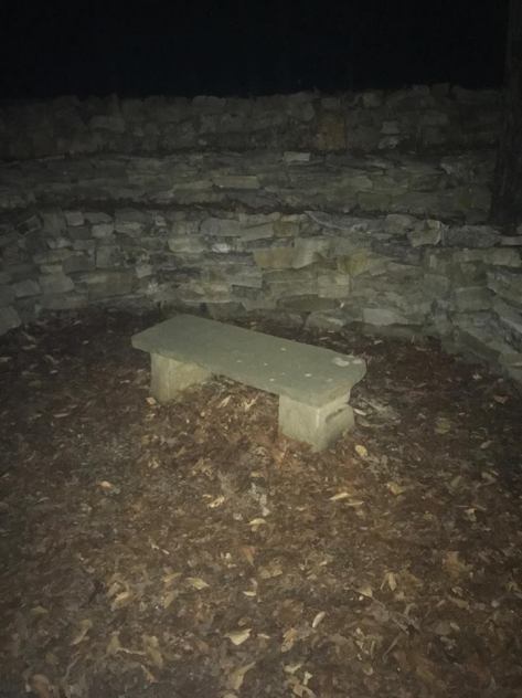 17820778_1346704348701942_708442036_n