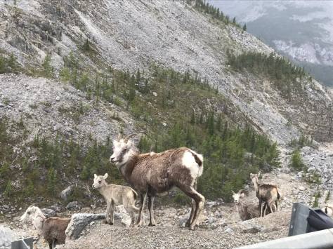 22429220_1525197064186002_1909722439_o