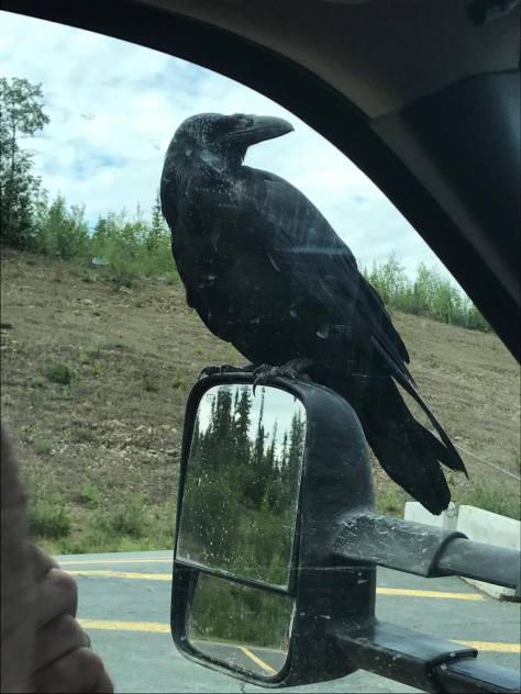 22450447_1525194630852912_1734970265_o