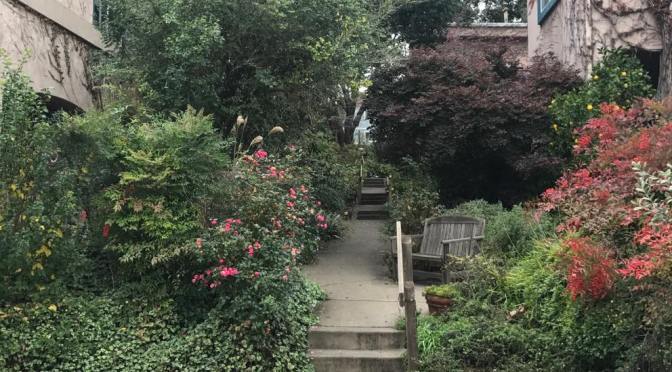 Two Acre Wood Co-Housing Community